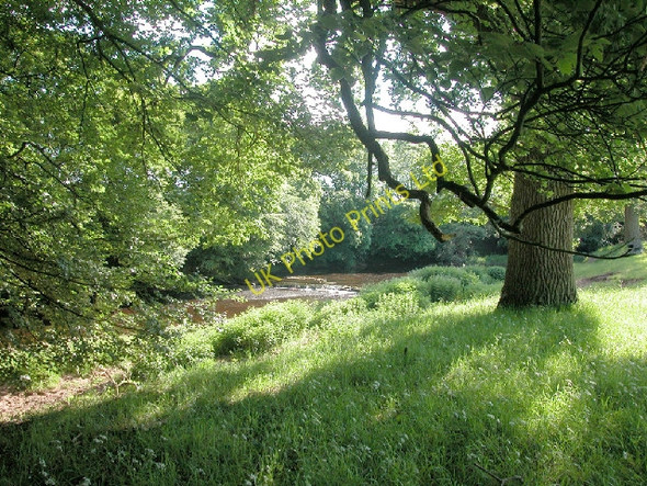 Photo 6"x4" River Lyne Kirklinton c2005