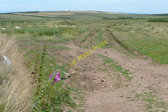 Photo 6"x4" Moorland at Southern Ball Malmsmead c2010