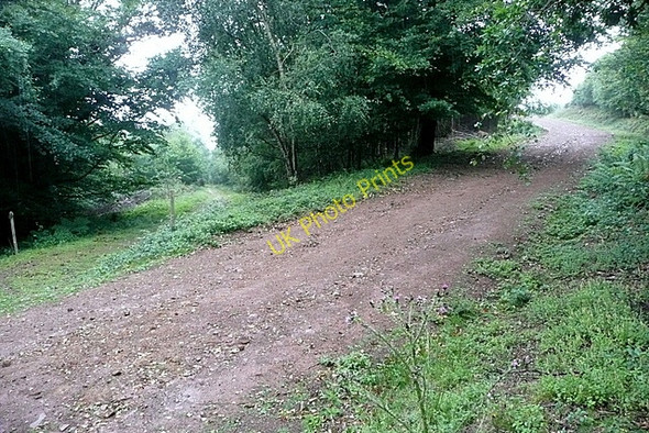 Photo 6"x4" Wootton Common Cowbridge\/SS9542 c2010