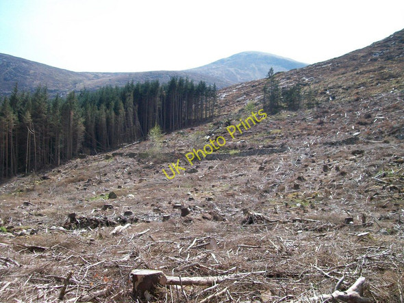 Photo 6"x4" Extensive area of clear-fell in the Donard Forest Newcastle\/J3732 c2010