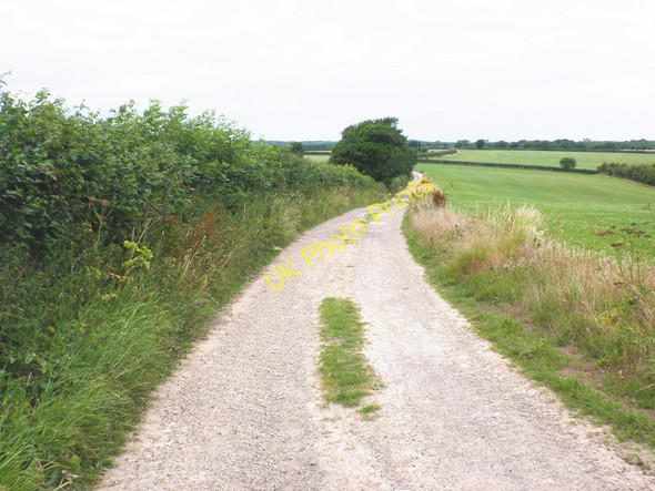 Photo 6"x4" Farm track, above Branscombe Vicarage c2010