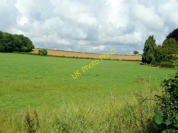 Photo 6"x4" Pasture and arable Park Hill\/ST5699 c2010