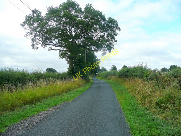 Photo 6"x4" Mill Lane Hethelpit Cross c2010