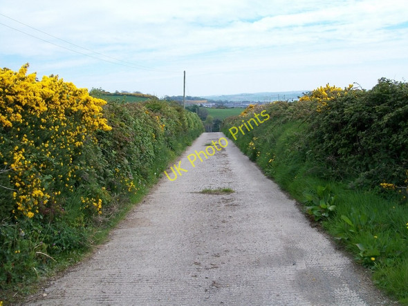 Photo 6"x4" The lower end of  Wateresk Hill Lane Dundrum\/J4036 c2010