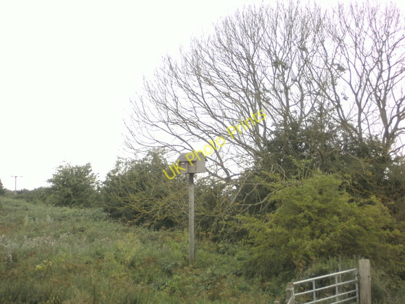 Photo 6"x4" A walk to Beverley #74 Aike c2010