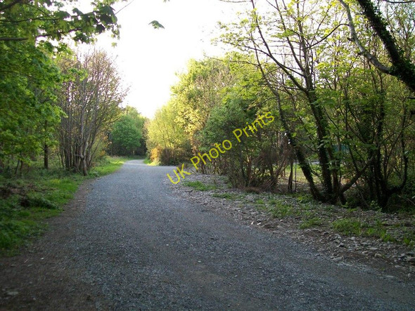 Photo 6"x4" The lower section of Tipperary Lane Newcastle\/J3732 c2010