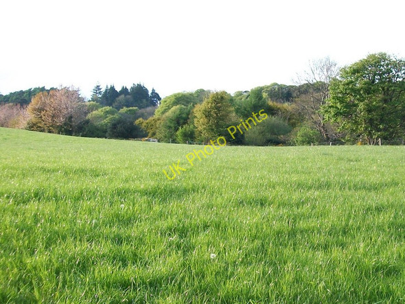 Photo 6"x4" View north across grassland to the wooded Shimna valley Newcastle\/J3732 c2010
