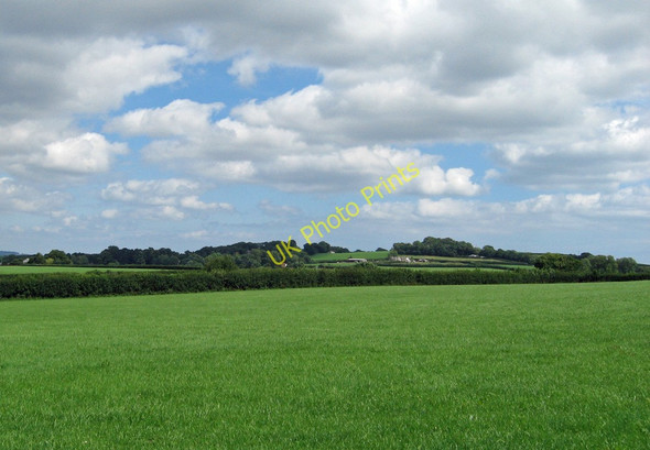 Photo 6"x4" Denbury, Devon East Ogwell c2010 P1