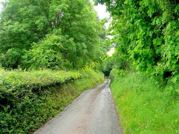 Photo 6"x4" Pitt Road Snodhill c2010