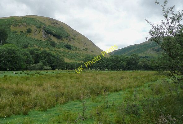 Photo 6"x4" The Cwm Mwyro flood plain, Ceredigion Strata Florida c2010