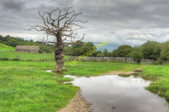 Photo 6"x4" Flooded footpath near Aughton Barns Caton Green c2010