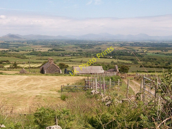 Photo 6"x4" View downslope to Tyddyn-yr-haint Penbodlas c2010