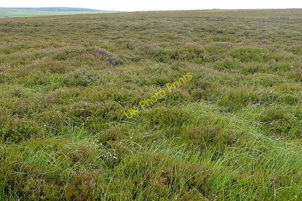 Photo 6"x4" Mill Hill Oareford c2010