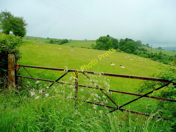 Photo 6"x4" North side of Cusop Hill Archenfield c2010