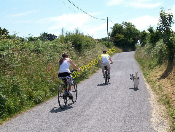 Photo 6"x4" Cyclists and dog on Lon Pin near Llanbedrog Llanbedrog c2010