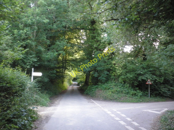 Photo 6"x4" Winstode Cross Woodland Head c2010