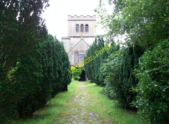 Photo 6"x4" Weed strewn path to Eglwys St Buan church Boduan c2010