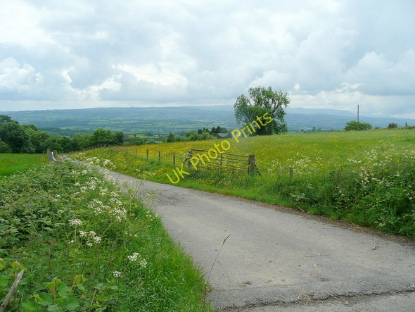 Photo 6"x4" Farm road to Cefn Brilley c2010
