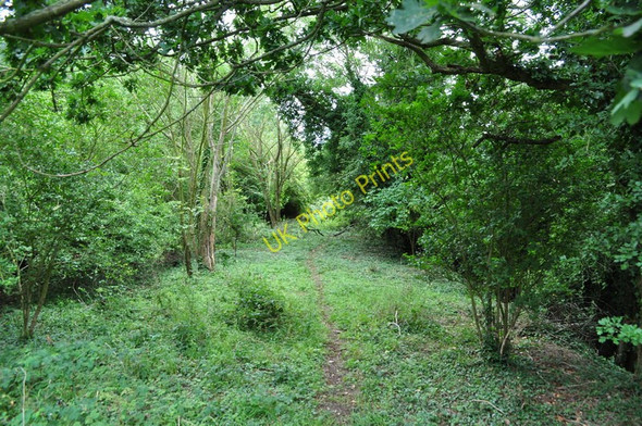 Photo 6"x4" The Dismantled Forncett Branch Hapton\/TM1796 c2010