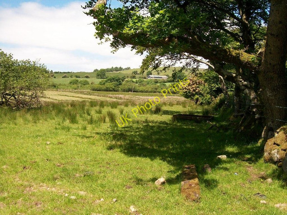 Photo 6"x4" View across pasture and woodland towards Hendre Cennin Llecheiddior\/SH4743 c2010