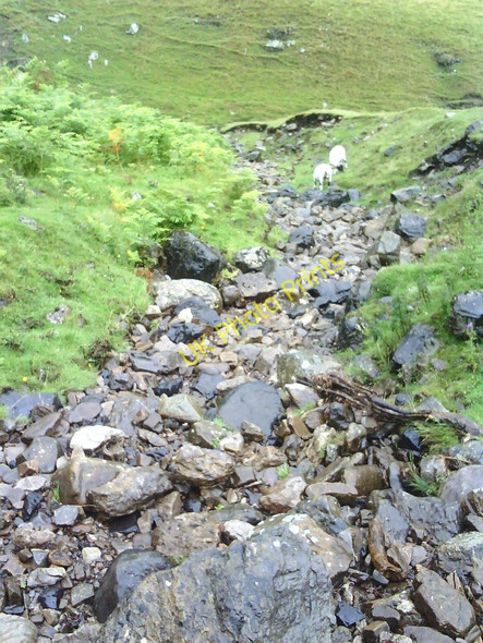 Photo 6"x4" Stream channel running towards Birkin Beck Barkin Beck c2010