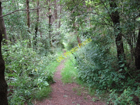 Photo 6"x4" Footpath from Oldfield Lane near Darley Bridge Darley Bridge c2010