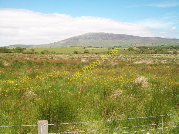 Photo 6"x4" Unimproved rough pasture on the north side of the road Llecheiddior\/SH4743 c2010