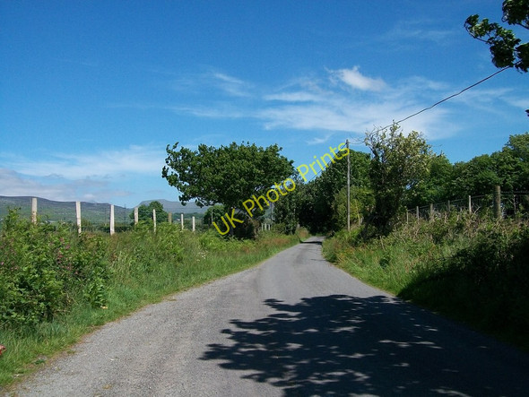 Photo 6"x4" The Ynys Galed road west of Llecheiddior Llecheiddior\/SH4743 c2010
