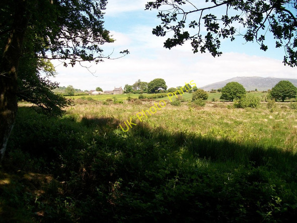 Photo 6"x4" Wetland to the east of Y Lon Goed Llecheiddior\/SH4743 c2010