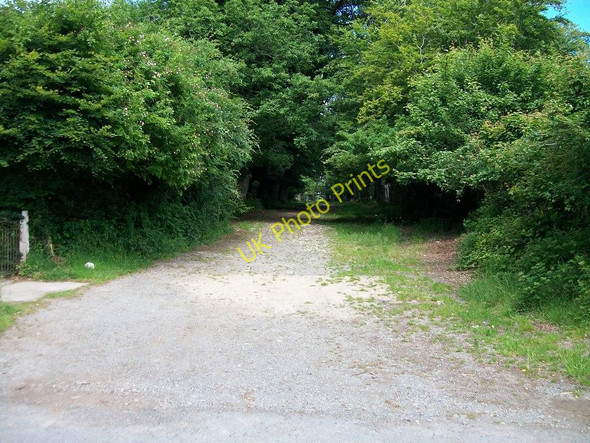 Photo 6"x4" Entrance to Y Lon Goed from the Ynys road Rhosgyll c2010