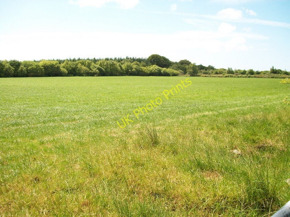 Photo 6"x4" Grazing land south of the Ynys road Rhosgyll c2010