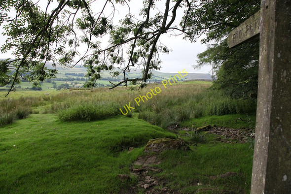 Photo 6"x4" Public footpath leading through marshland Cubeck c2010