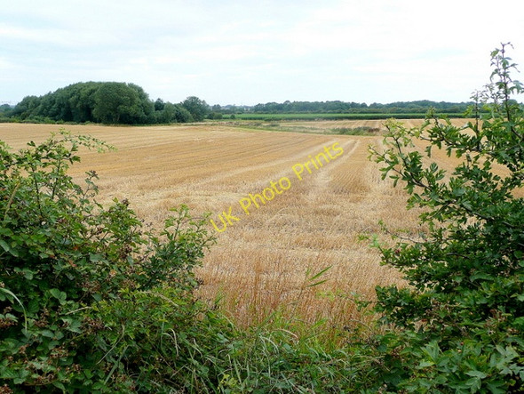 Photo 6"x4" Harvested crop on Styrrup Carr Styrrup c2010