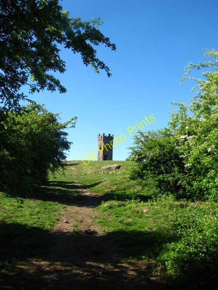 Photo 6"x4" Trees and Folly Tower Pontypool\/Pont-y-pwl c2010
