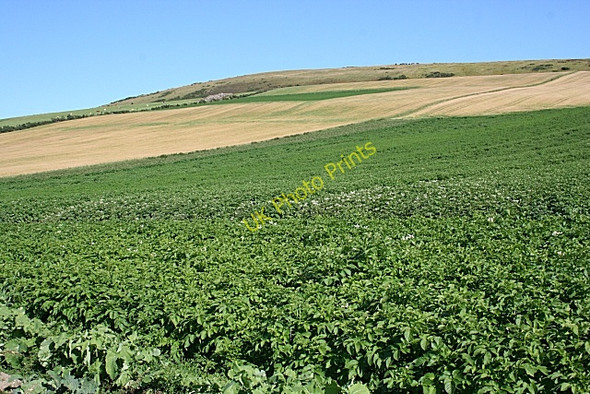 Photo 6"x4" Durn Hill Fordyce c2010