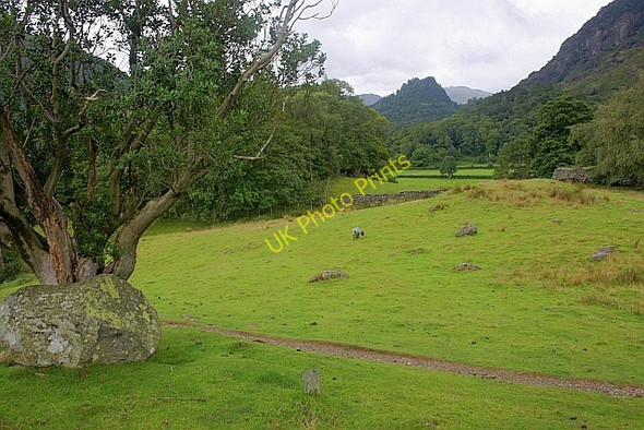 Photo 6"x4" Boulder in Pasture Field Grange\/NY2517 c2010
