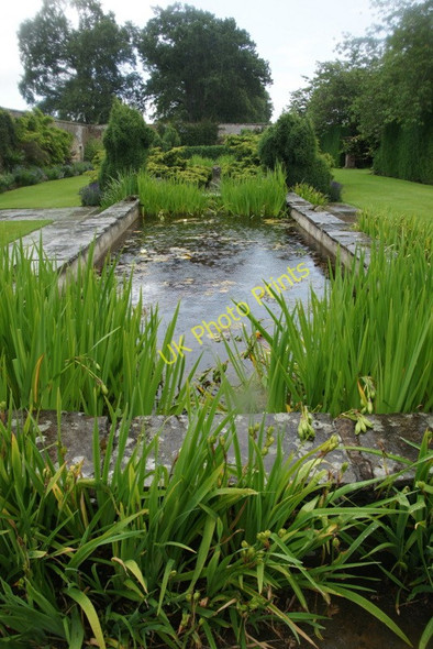 Photo 6"x4" Lily pond, Falkland Palace Falkland c2010
