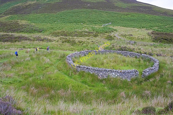 Photo 6"x4" Sheepfold, Wiley Gill Blackhazel Beck c2010