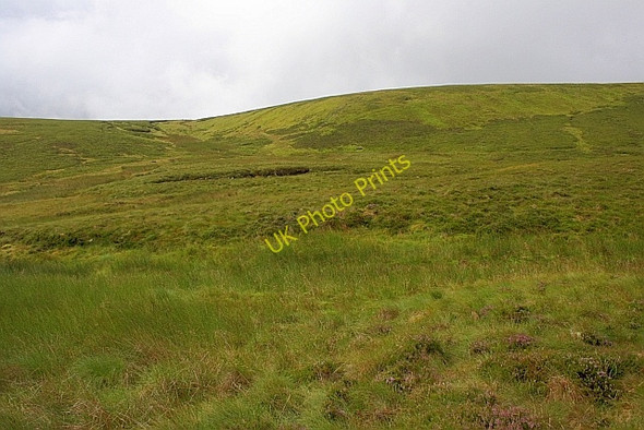 Photo 6"x4" Miller Moss Fell Side\/NY3037 c2010 P1