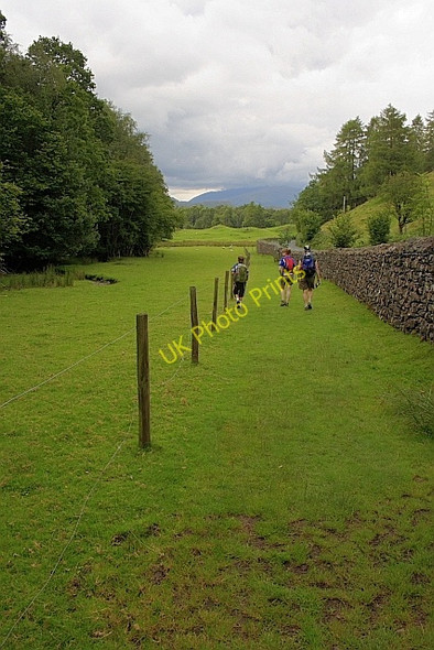 Photo 6"x4" Footpath Beside the A593 Little Langdale c2010