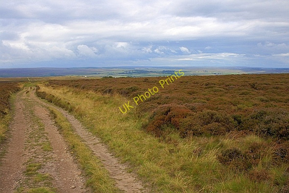 Photo 6"x4" Track over Howdale Moor Ravenscar c2010