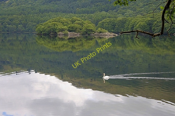 Photo 6"x4" Coniston Water High Nibthwaite c2010