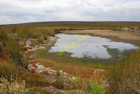 Photo 6"x4" Burn Howe Duck Pond Green Swang c2010