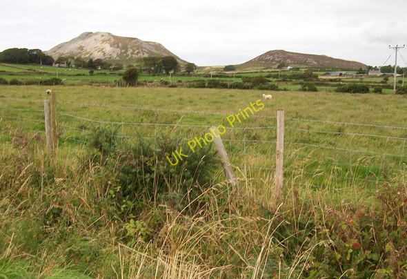 Photo 6"x4" Sheep pastures north of the Llaniestyn road Penbodlas c2010