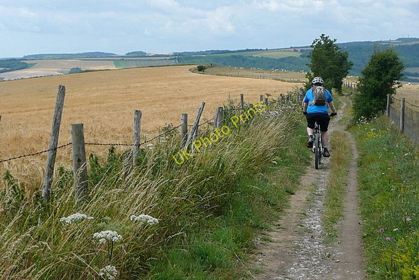 Photo 6"x4" On the South Downs Way Cross Gate\/TQ0413 c2010