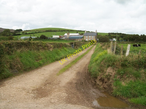 Photo 6"x4" Hen Stat Farm, Nanhoron Penbodlas c2010
