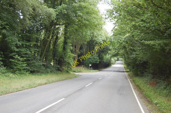 Photo 6"x4" A2100 towards Battle Battle\/TQ7416 c2010 P1