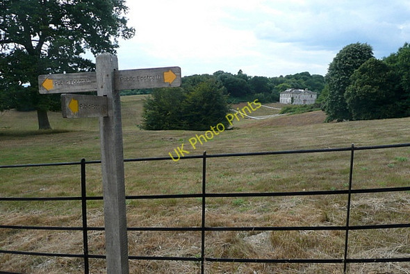 Photo 6"x4" Towards Pitshill House Upperton\/SU9522 c2010