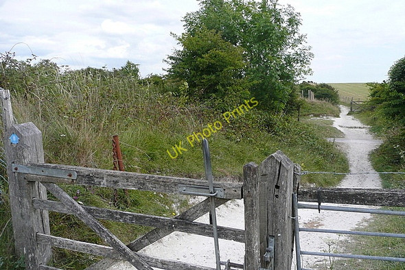 Photo 6"x4" Another bridlegate Plumpton\/TQ3613 c2010