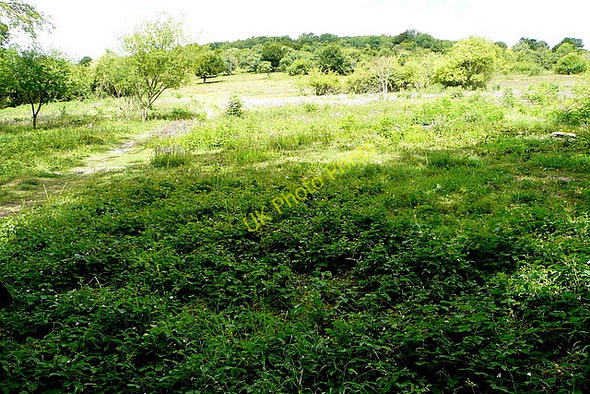 Photo 6"x4" Levin Down Charlton\/SU8812 c2010